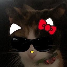 duzo's avatar